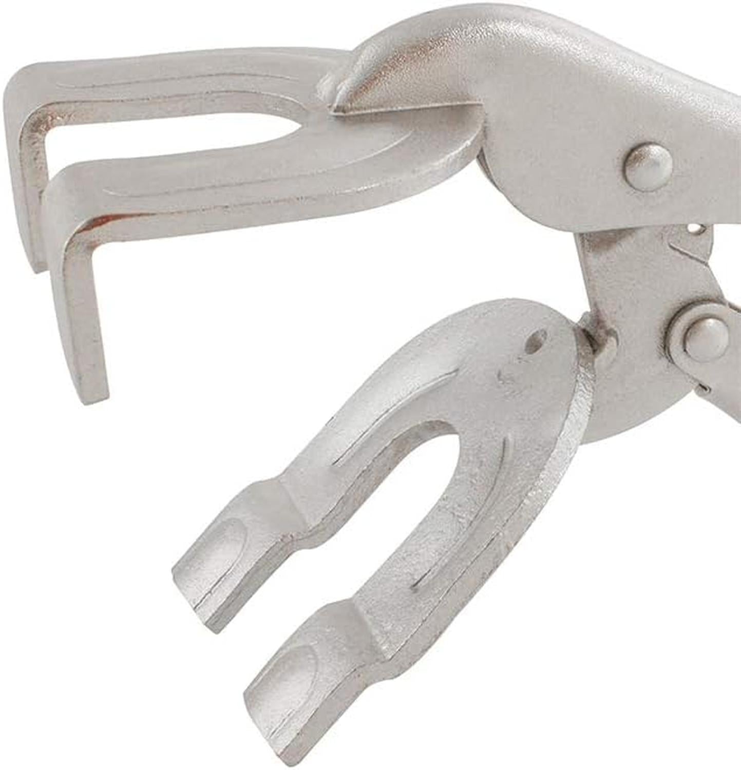 jpg_1500x1500_67634262