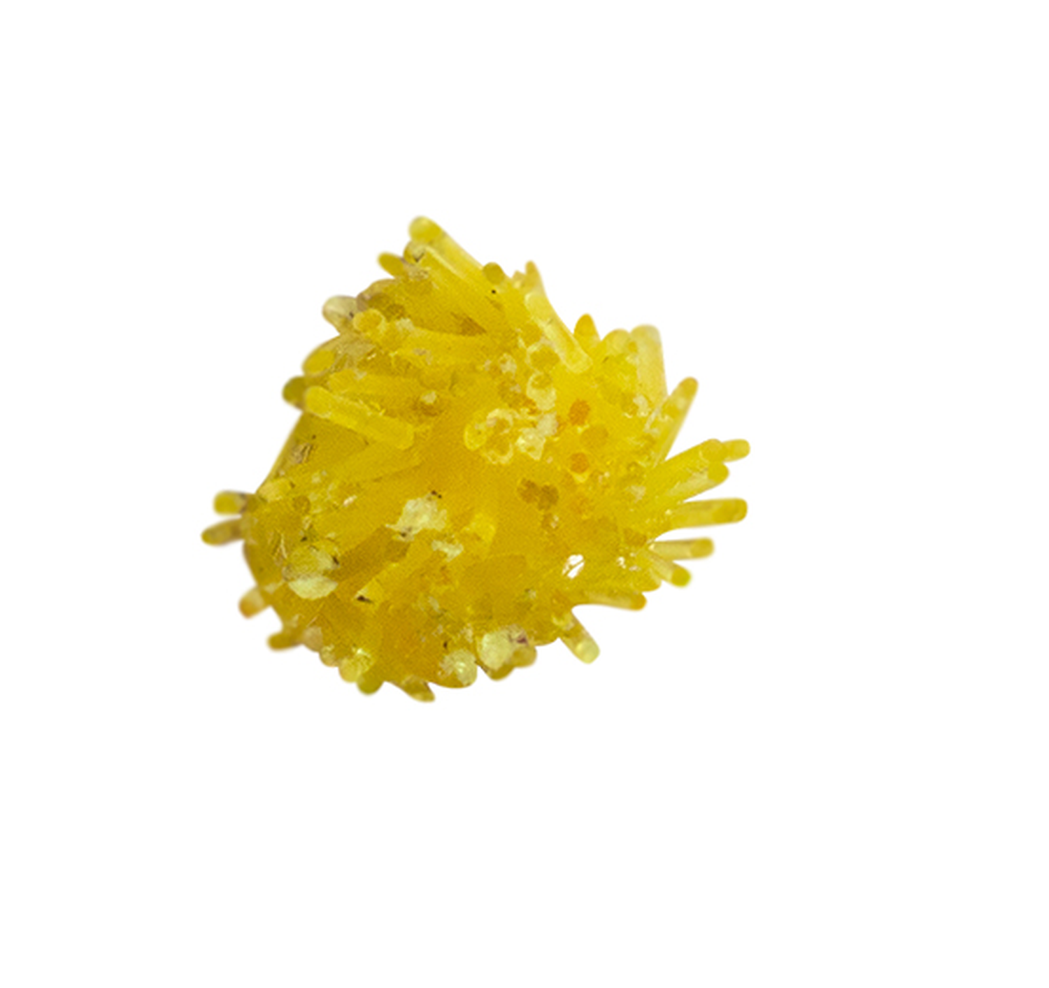 png_1500x1500_63234401